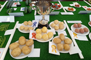 Prize spuds