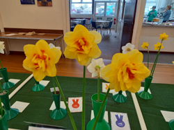Daffodils